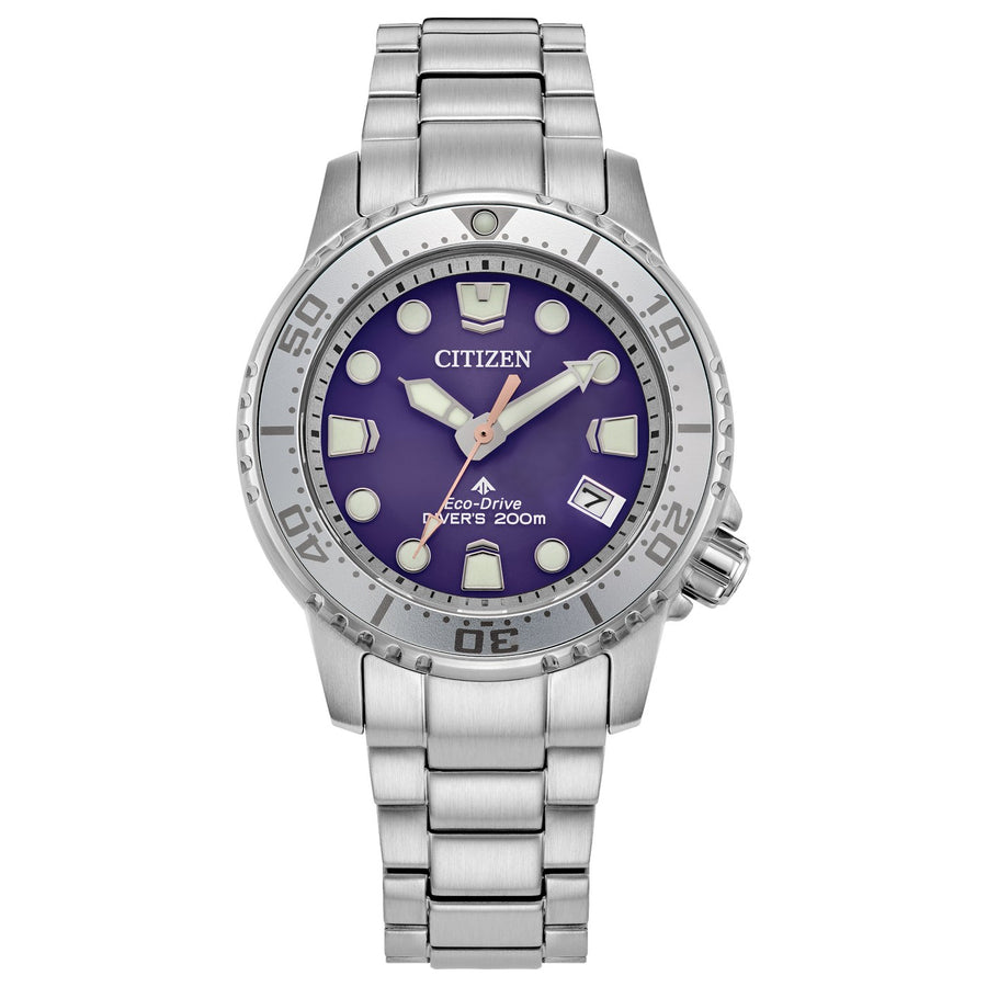 Citizen Promaster Dive EO2027-50X eco-drive stainless steel watch