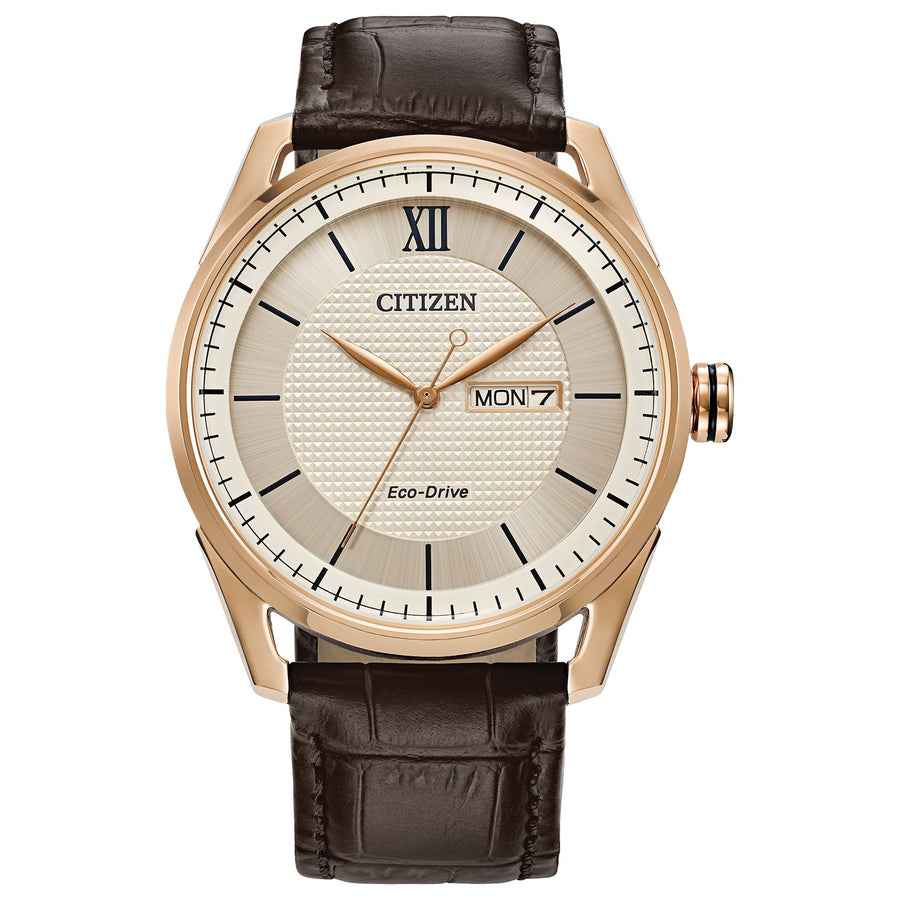 Citizen Classic AW0082-01A eco-drive leather watch
