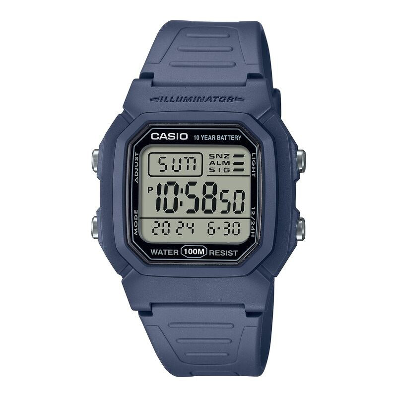 Casio Classic W800H-2AV Silver quartz resin watch